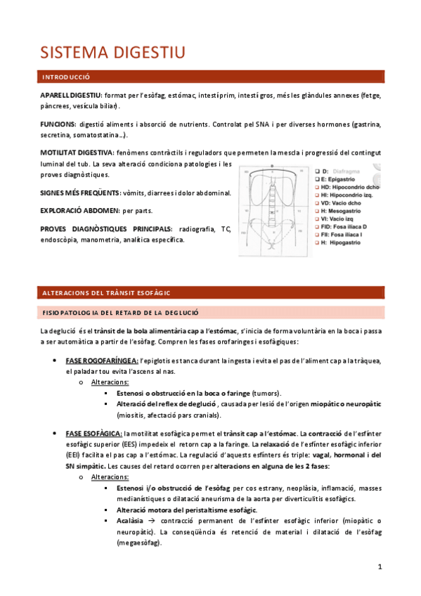 Miniatura del documento FISIOPATOLOGIA-DIGESTIU.pdf