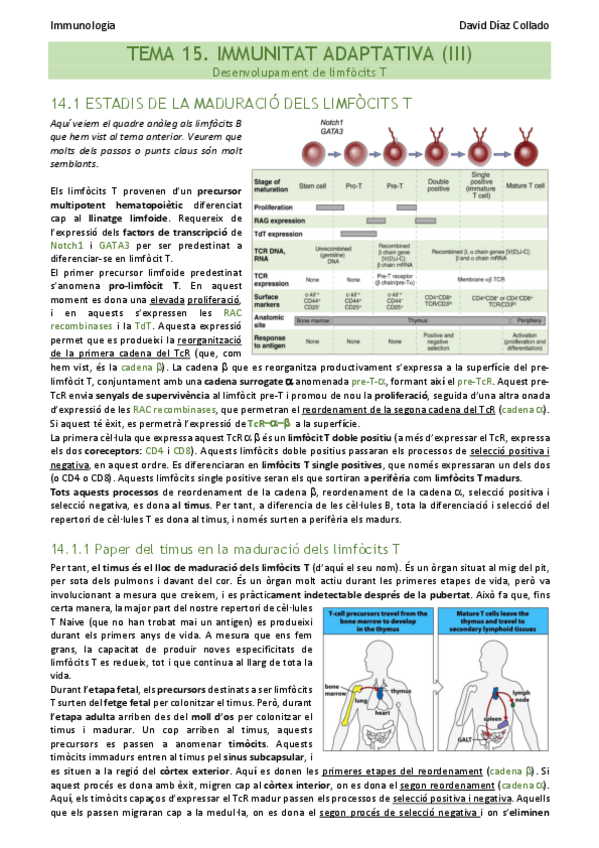 Miniatura del documento TEMA-15.pdf