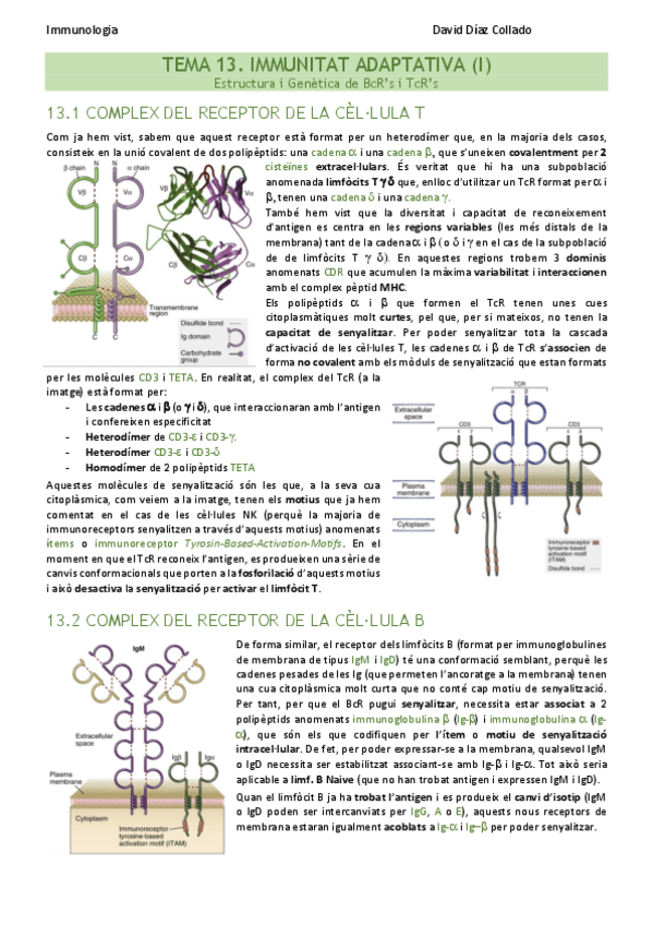 Miniatura del documento TEMA-13.pdf