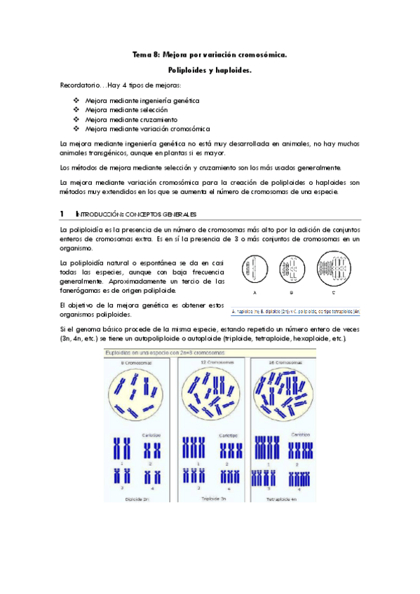 Miniatura del documento 8-mejoravarcromosoma.pdf