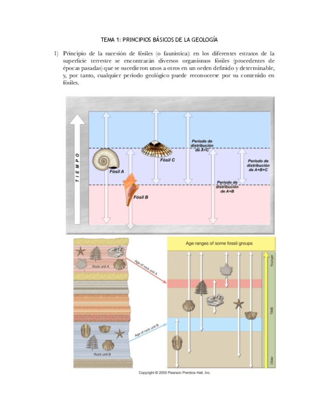 Miniatura del documento TEMA 1. GEO. PRINCIPIOS DE LA GEOLOGÍA.pdf