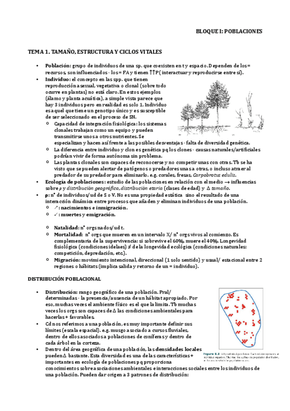 Miniatura del documento Bloque-I.pdf