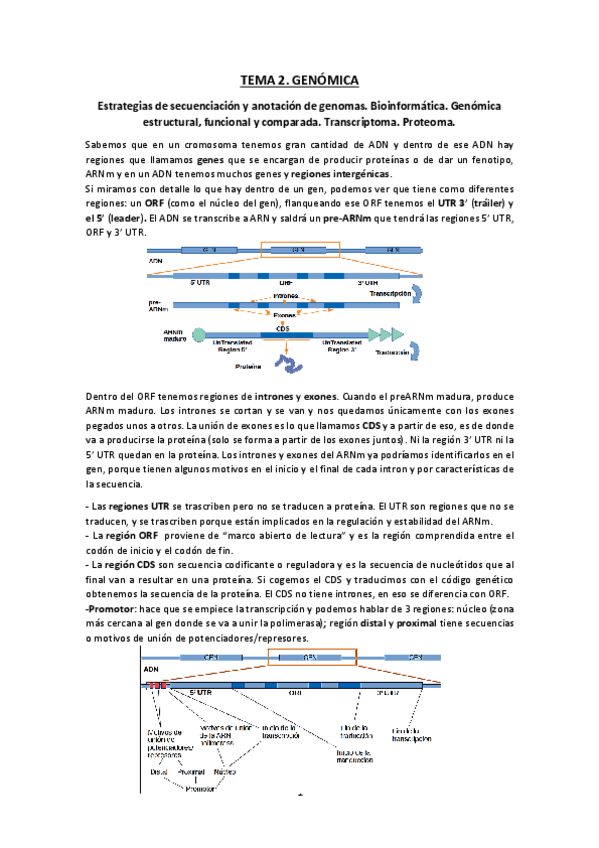 Miniatura del documento TEMA-2.pdf