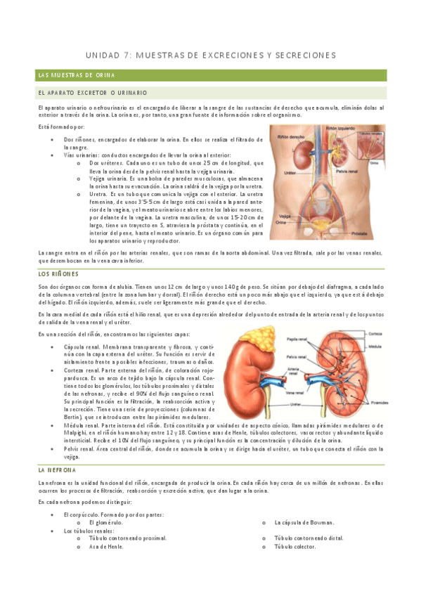 Miniatura del documento UNIDAD-7-GMB.pdf