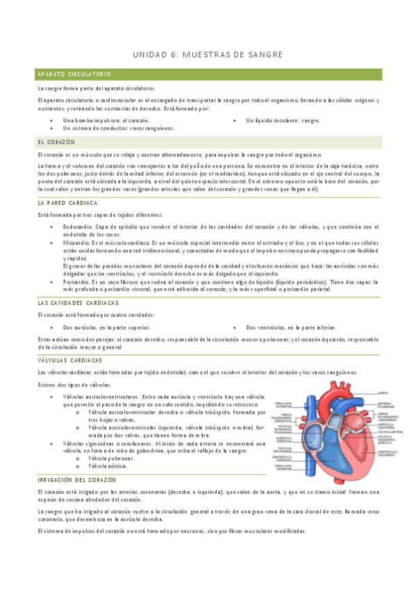 Miniatura del documento Unidad-6-GMB-2.pdf