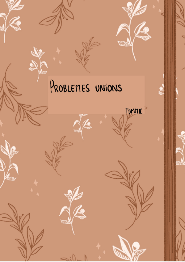 Miniatura del documento ProblemesTDMMIIUnions.pdf
