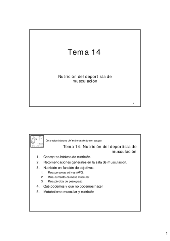 Miniatura del documento T142017.pdf
