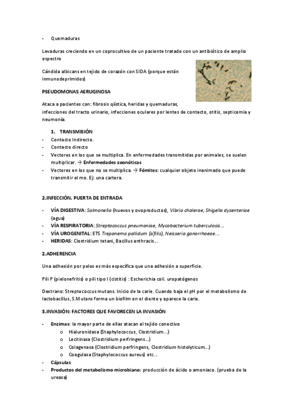 Miniatura del documento TEMA-21.pdf