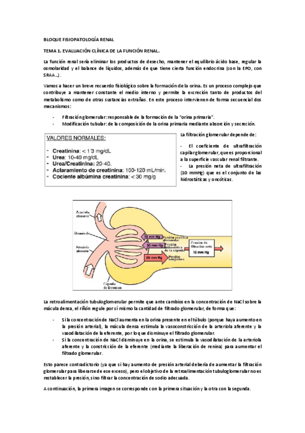 Miniatura del documento BLOQUE-RENAL.pdf