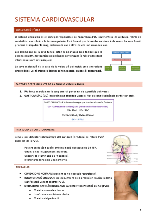 Miniatura del documento FISIOPATO-CARDIO.pdf