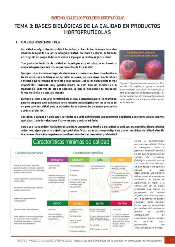 Miniatura del documento TEMA-3.pdf