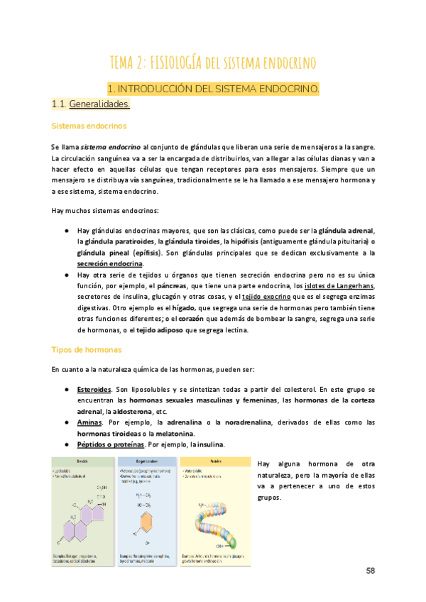 Miniatura del documento Tema-2-Fisiologia-del-sistema-endocrino-2.pdf