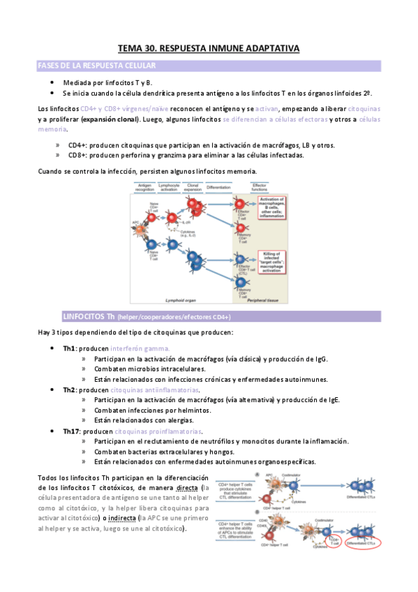 Miniatura del documento TEMA-30.pdf