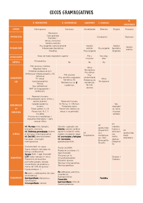Miniatura del documento COCOS-GRAMNEGATIVOS.pdf