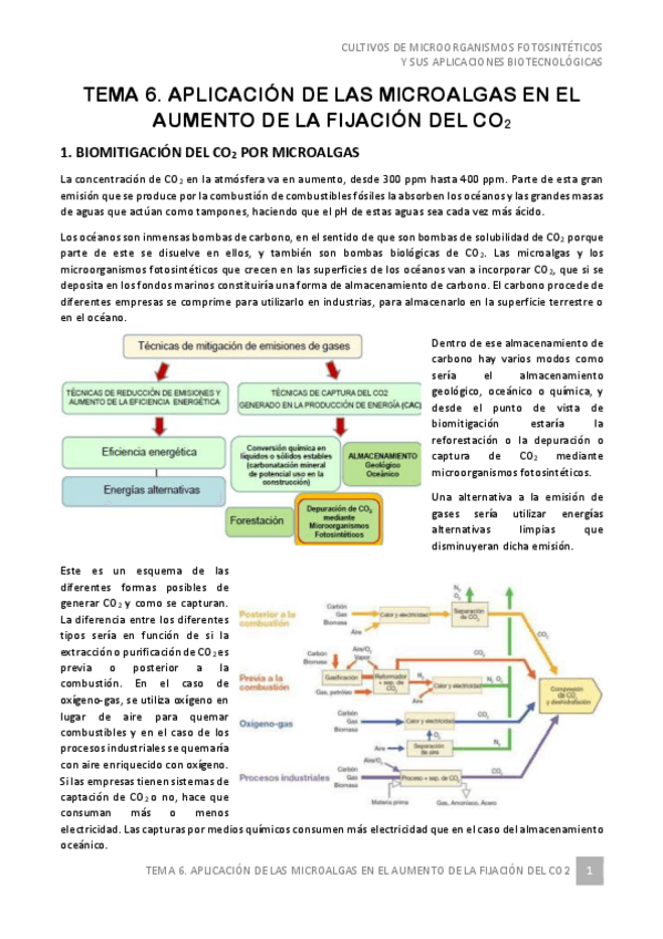 Miniatura del documento Tema-6-Cultivos-de-microorganismos-2021.pdf