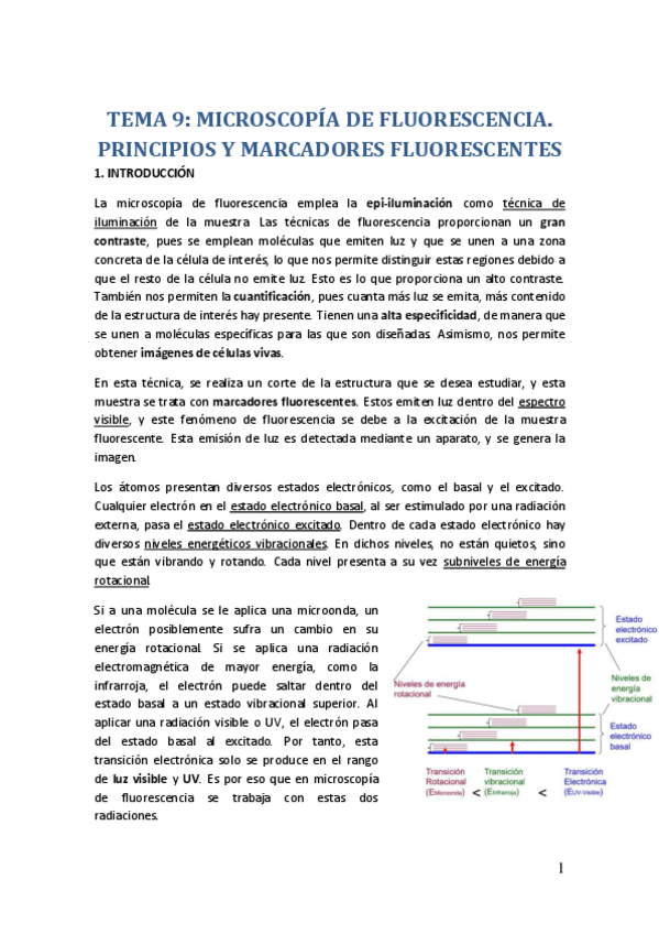 Miniatura del documento TEMA-9.pdf