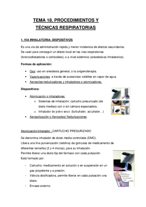 Miniatura del documento T18-HIST.pdf