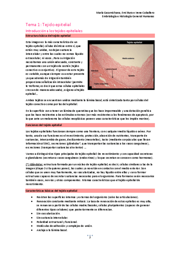 Miniatura del documento HISTOLOGIA-2021-1-primer-archivo-3-19.pdf