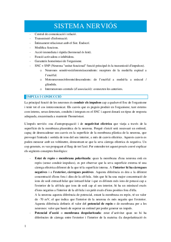 Miniatura del documento SISTEMA-NERVIOS.docx