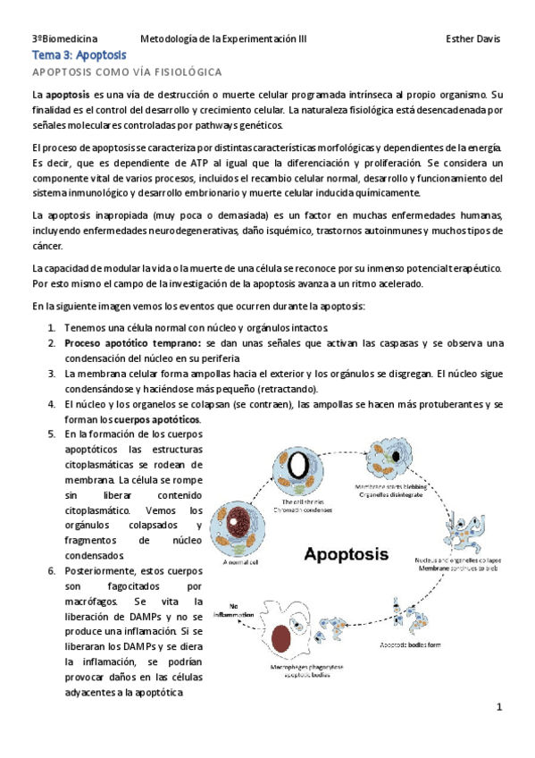 Miniatura del documento Tema-3.pdf