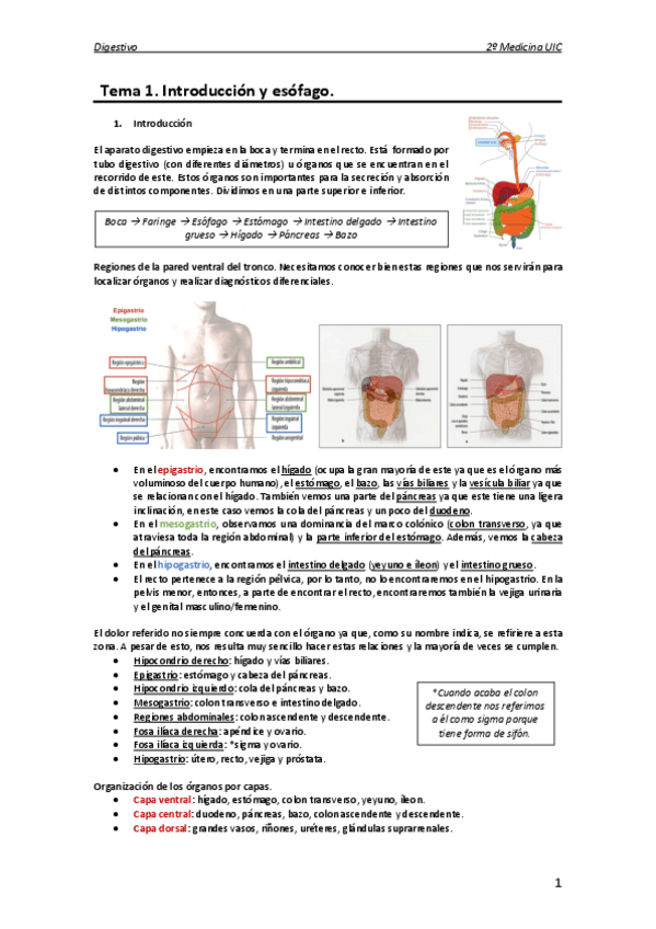 Miniatura del documento Anatomia-digestivo.pdf