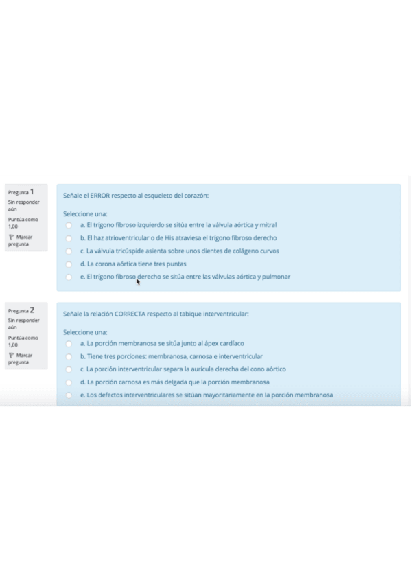 Miniatura del documento examen-teorico-2020.pdf