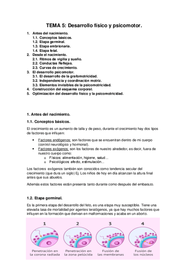 Miniatura del documento TEMA-5.pdf