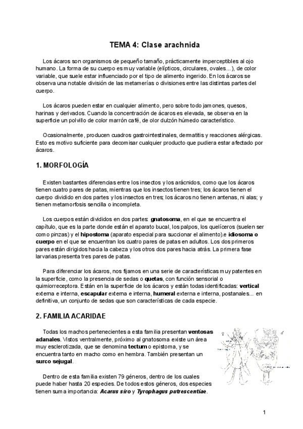 Miniatura del documento Tema-4-PA.pdf