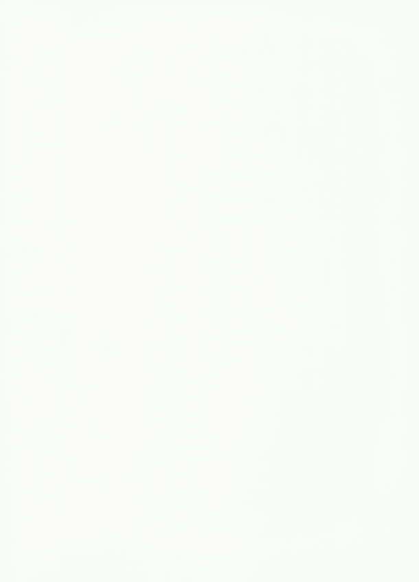 Miniatura del documento FULLDIRECT.pdf