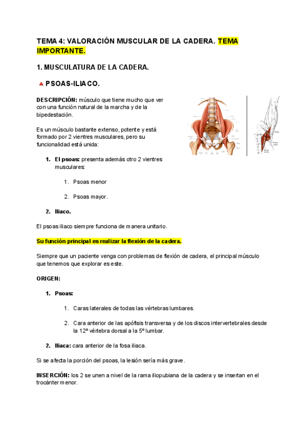 Miniatura del documento TEMA-4-VALORACION-MUSCULAR-DE-LA-CADERA-2.pdf