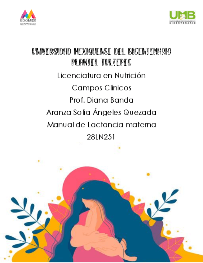 Miniatura del documento Manual-de-lactancia-materna.pdf
