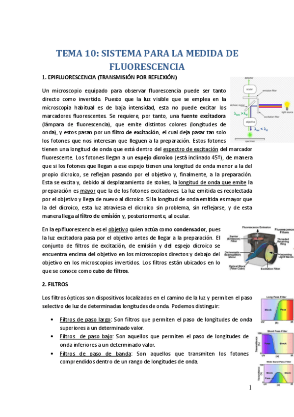 Miniatura del documento TEMA-10.pdf