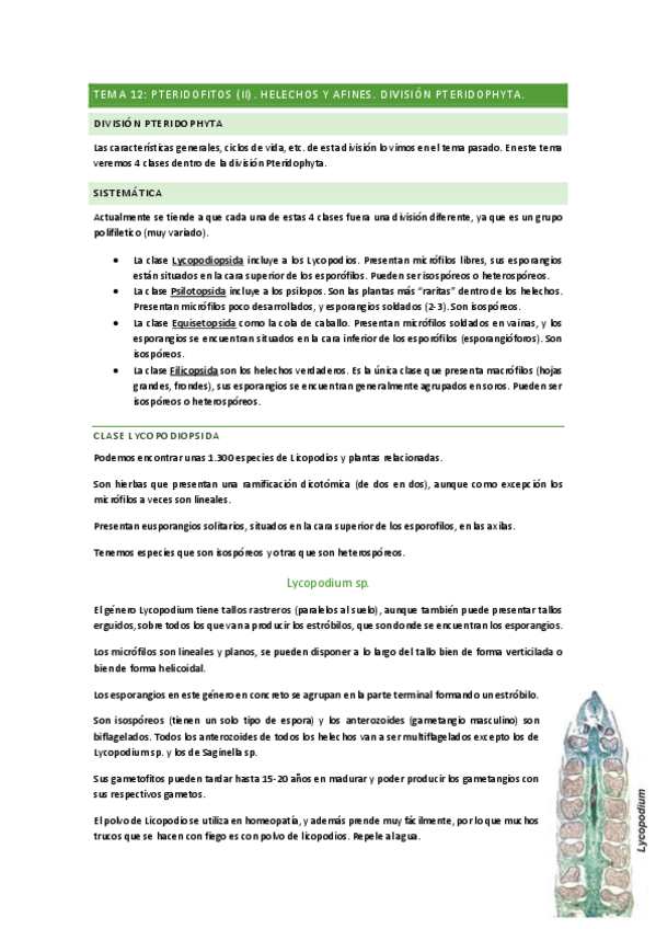 Miniatura del documento TEMA-12.pdf