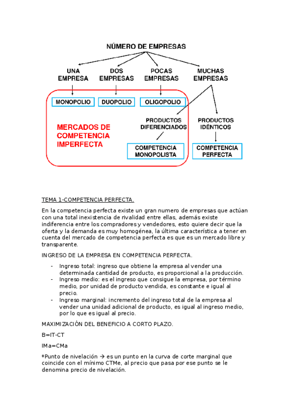 Miniatura del documento teoria-micro.docx