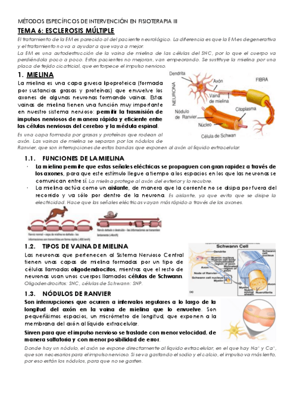 Miniatura del documento TEMA-6.pdf