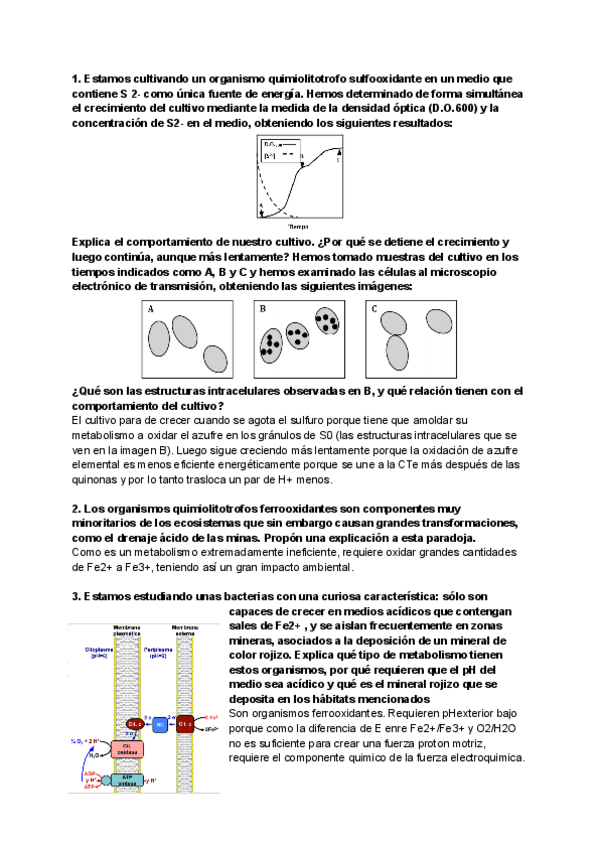 Miniatura del documento Clase-5-1.pdf