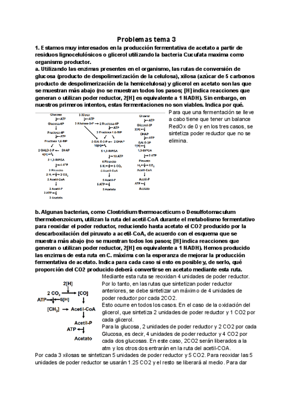 Miniatura del documento Clase-3-1.pdf