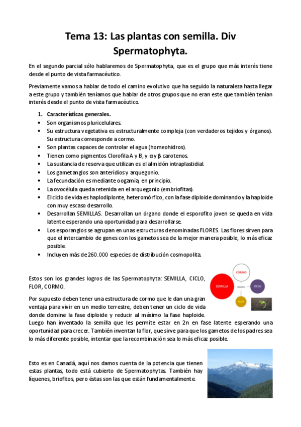 Miniatura del documento tema-13-botanica.pdf