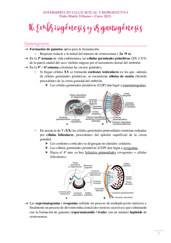 Miniatura del documento 16.pdf