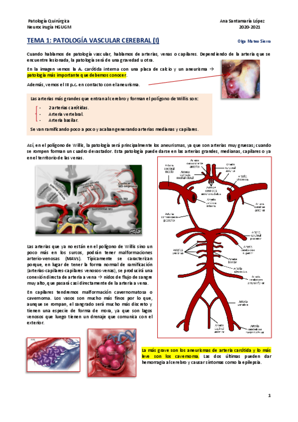 Miniatura del documento Tema-1-Patologia-vascular-cerebral-I.pdf