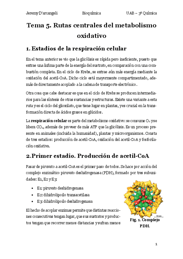 Miniatura del documento Teoria-T5-BIO.pdf