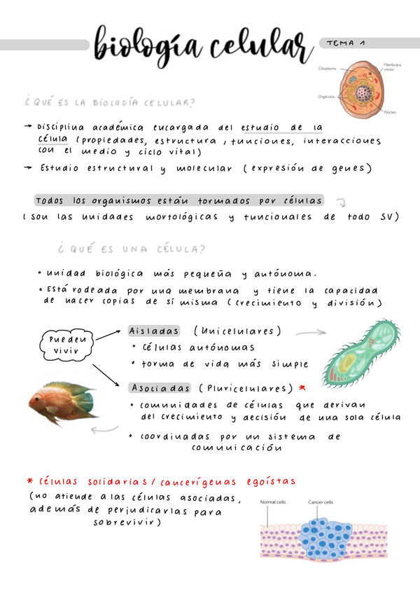 Miniatura del documento T1.pdf