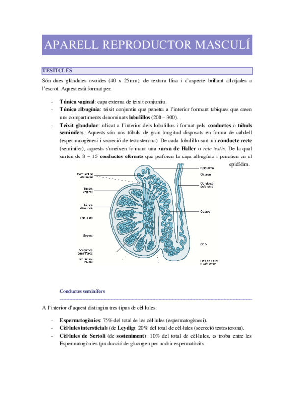 Miniatura del documento APARELL-REPRODUCTOR-MASCULI.docx