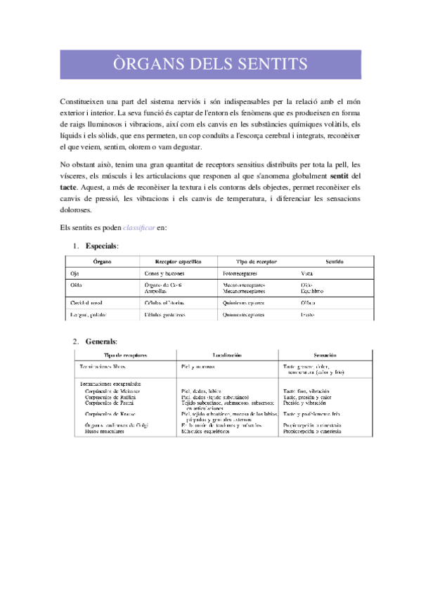 Miniatura del documento ORGANS-DELS-SENTITS.docx