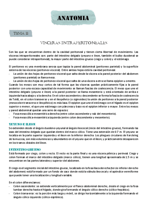 Miniatura del documento VISCERAS-INTRAPERITONEALES.pdf