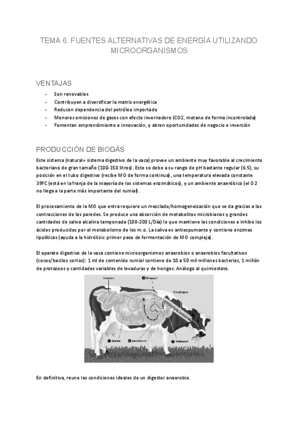 Miniatura del documento Tema-6.pdf