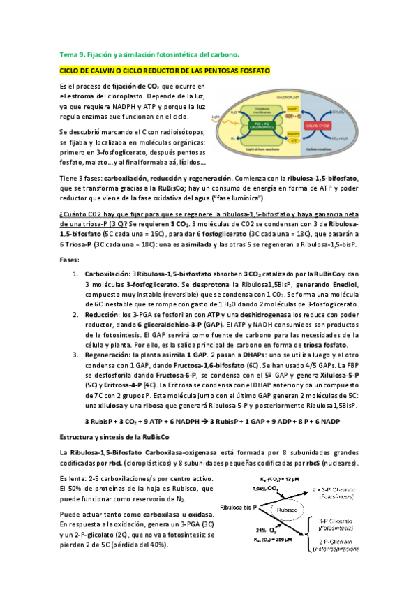 Miniatura del documento Tema-9.pdf