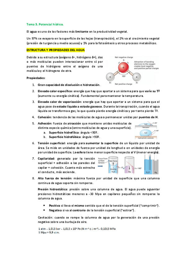 Miniatura del documento Tema-3.pdf
