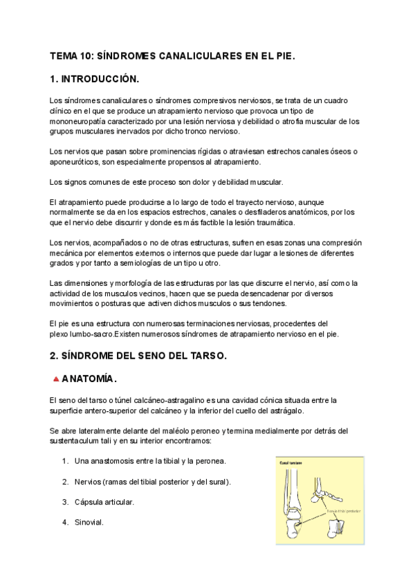 Miniatura del documento TEMA-10-SINDROMES-CANICULARES-EN-EL-PIE.pdf