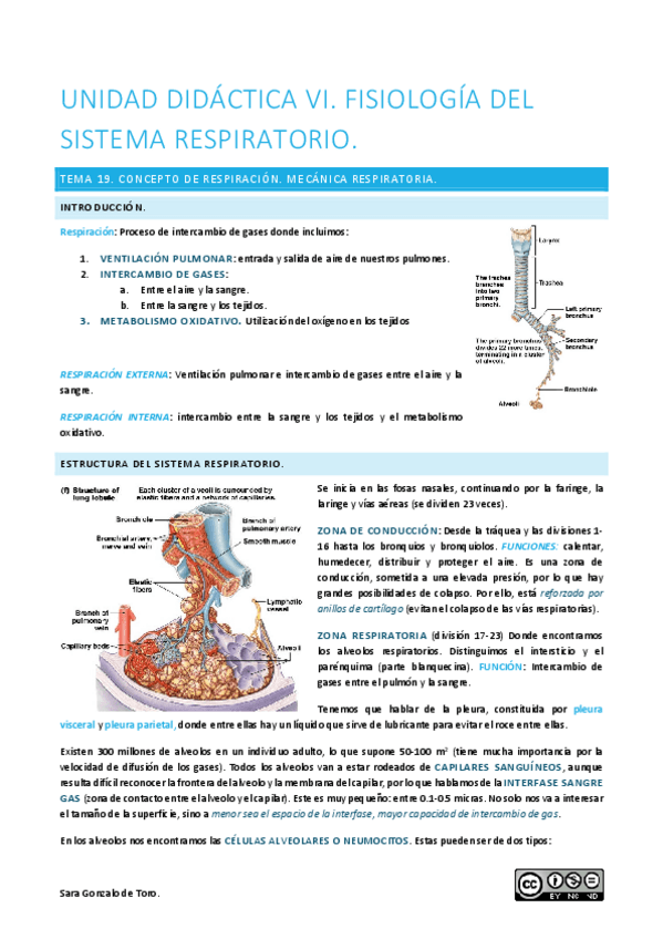 Miniatura del documento UNIDAD-DIDACTICA-VI.pdf